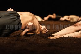 Sacre, Wuppertaler Tanztheater Pina Bausch.jpg